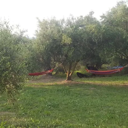 فيلة Angelko